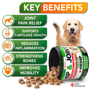 Vet Promise Glucosamine  Hemp Hip and Joint Support Supplement for Dogs 120 Chews