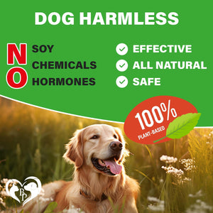 Dog Hip and Joint Supplement & Arthritis Pain Relief Treats with Glucosamine