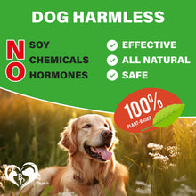 Load image into Gallery viewer, Beloved Pets Hip and Joint Supplement &amp; Arthritis Pain Relief for Dogs 120 Chews
