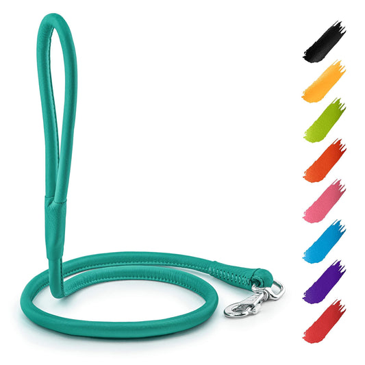 WAUDOG Rolled Leather GLAMOUR Dog Leash 4Ft X 0.5in (Mint) For Pet With Love