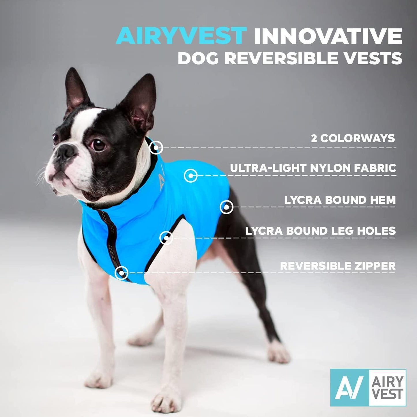 AiryVest Lightweight Reversible Winter Dog Jacket  Water Resistant & Windproof  XSmall  Black/Blue For Pet With Love