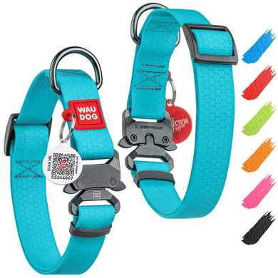 Two turquoise dog collars with gray buckles and red tags. QR tag on a white background.