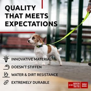 WAUDOG Waterproof Dog Leash 4 Ft   6 Ft   Anti Slip Dog Leash for Large Dogs