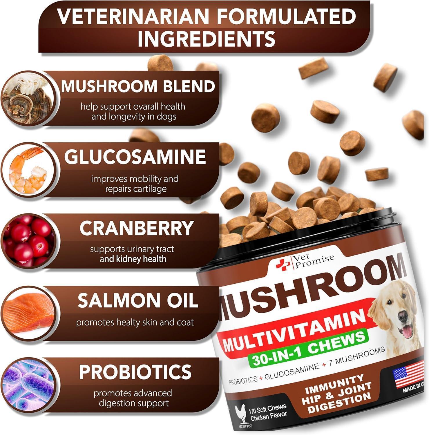 Vet Promise Multivitamin Mushroom Supplement for Dogs (170 Chews) For Pet With Love