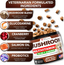 Load image into Gallery viewer, Vet Promise Multivitamin Mushroom Supplement for Dogs (170 Chews)
