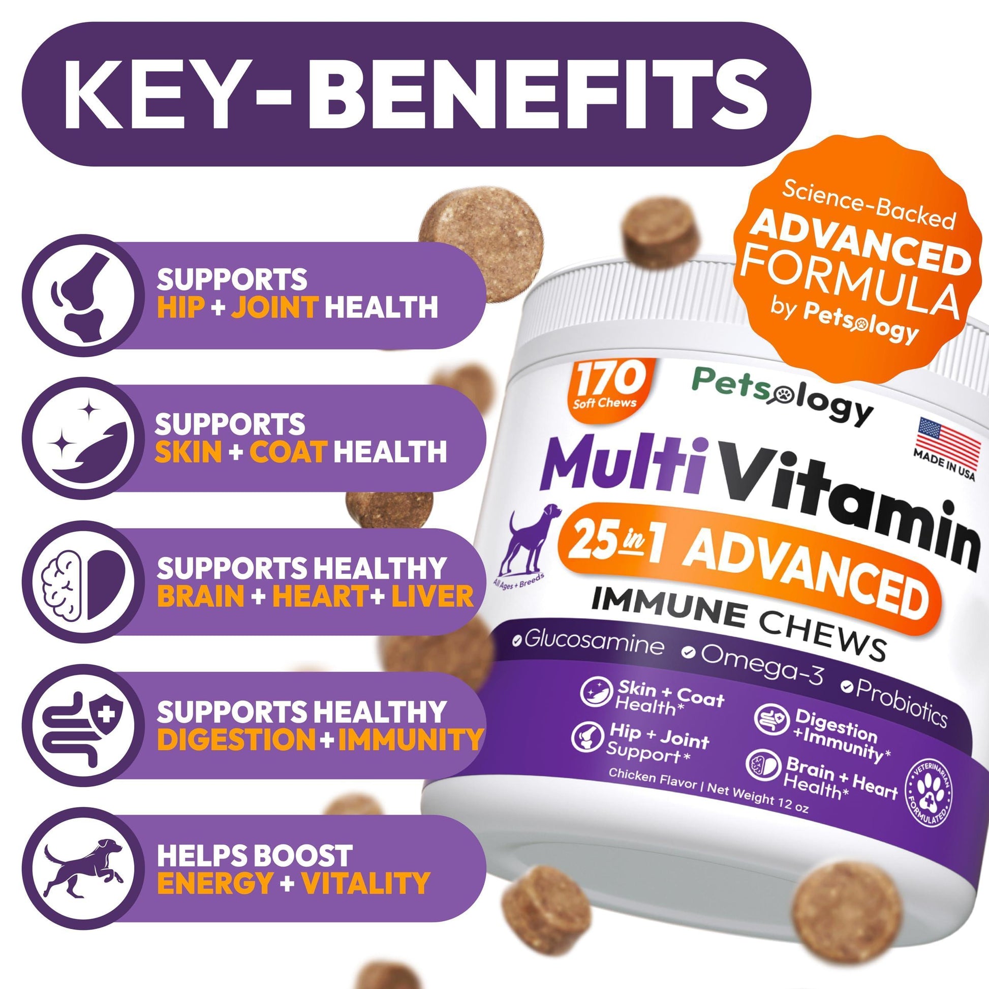 PETSOLOGY Dog Multivitamin and Hip & Joint Support with Glucosamine 170 Chews For Pet With Love
