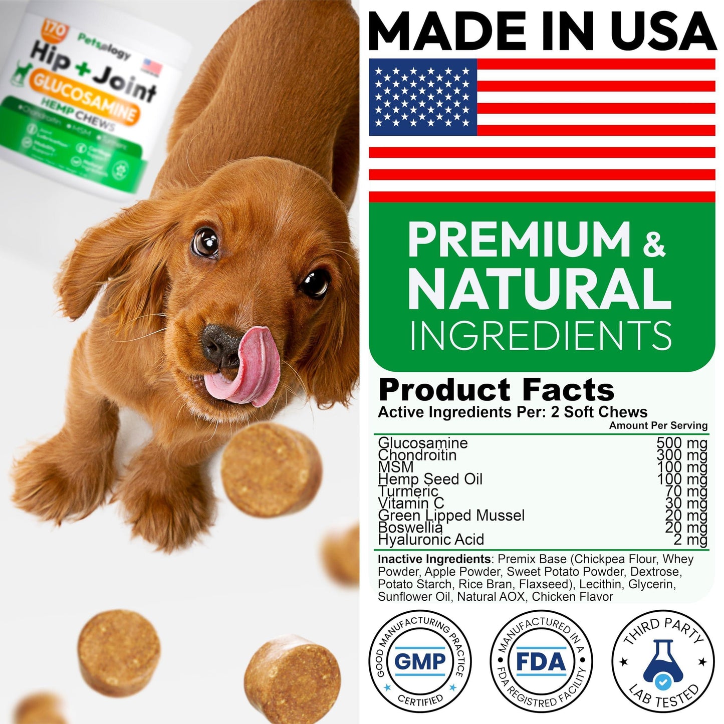 PETSOLOGY Hemp Hip and Joint Mobility Support Supplement for Dogs 170 Chews For Pet With Love
