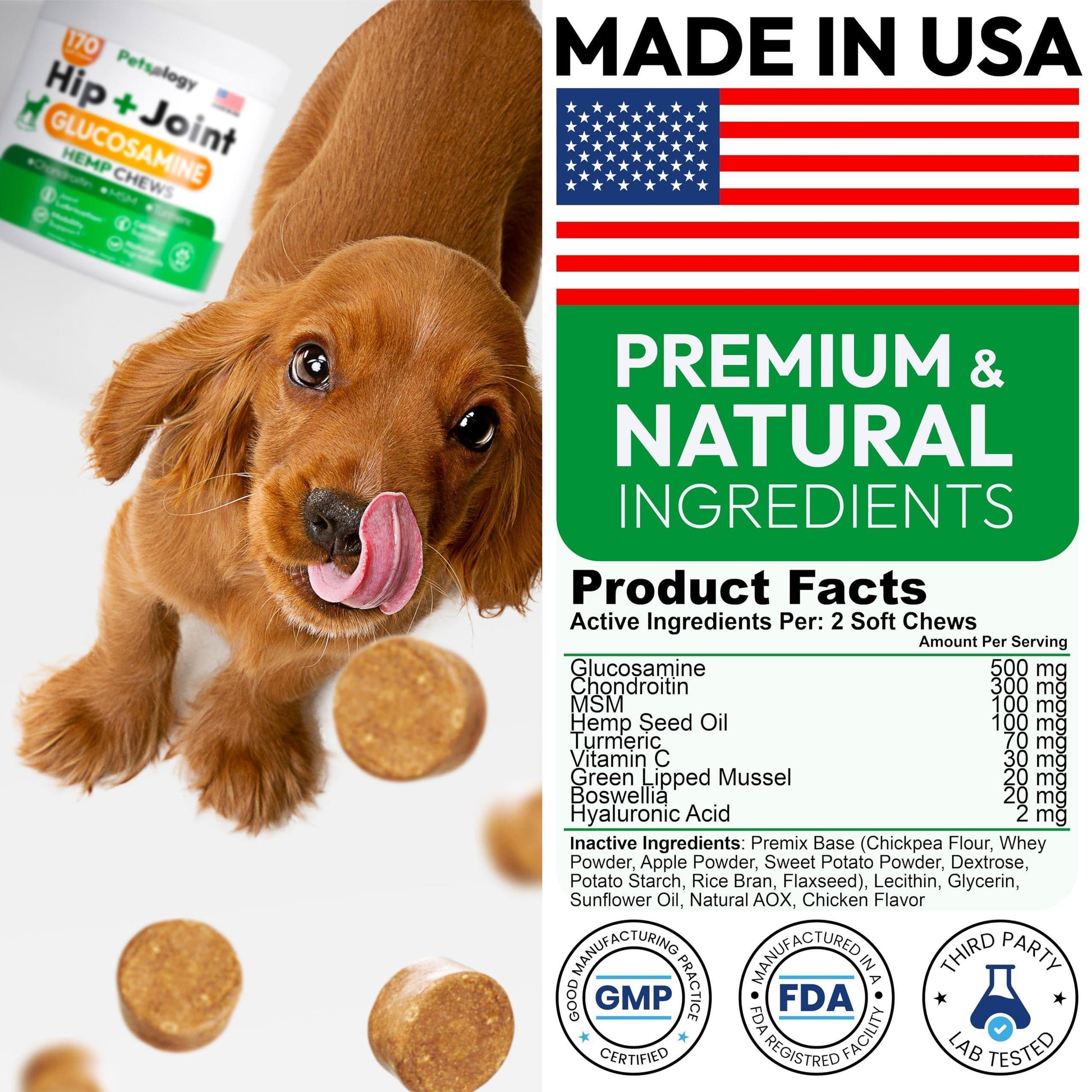 PETSOLOGY Hemp Hip and Joint Mobility Support Supplement for Dogs 170 Chews For Pet With Love