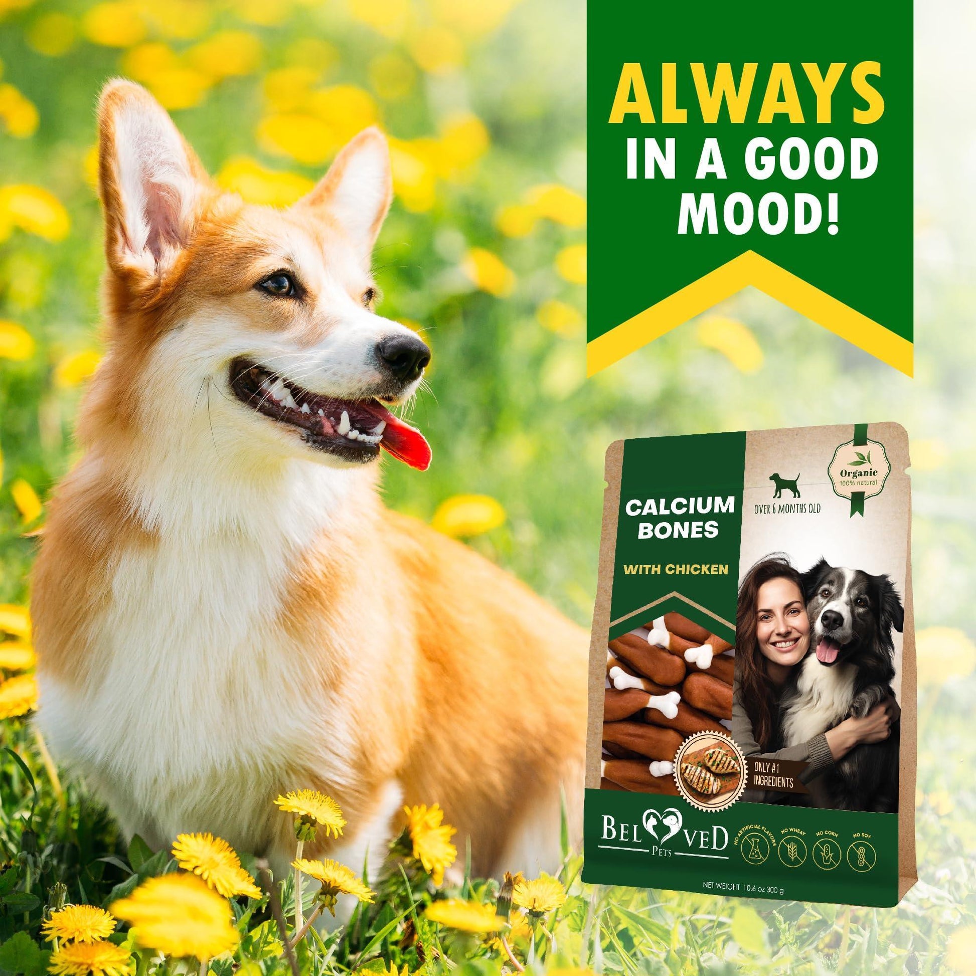 Beloved Pets Calcium Bones Wrapped Chicken & Rawhide Free Dog Treats 10.6 Oz For Pet With Love