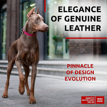 Load image into Gallery viewer, Long Lasting Leather Dog Collar for Large Dogs Medium &amp; Small Dogs   Adjustable
