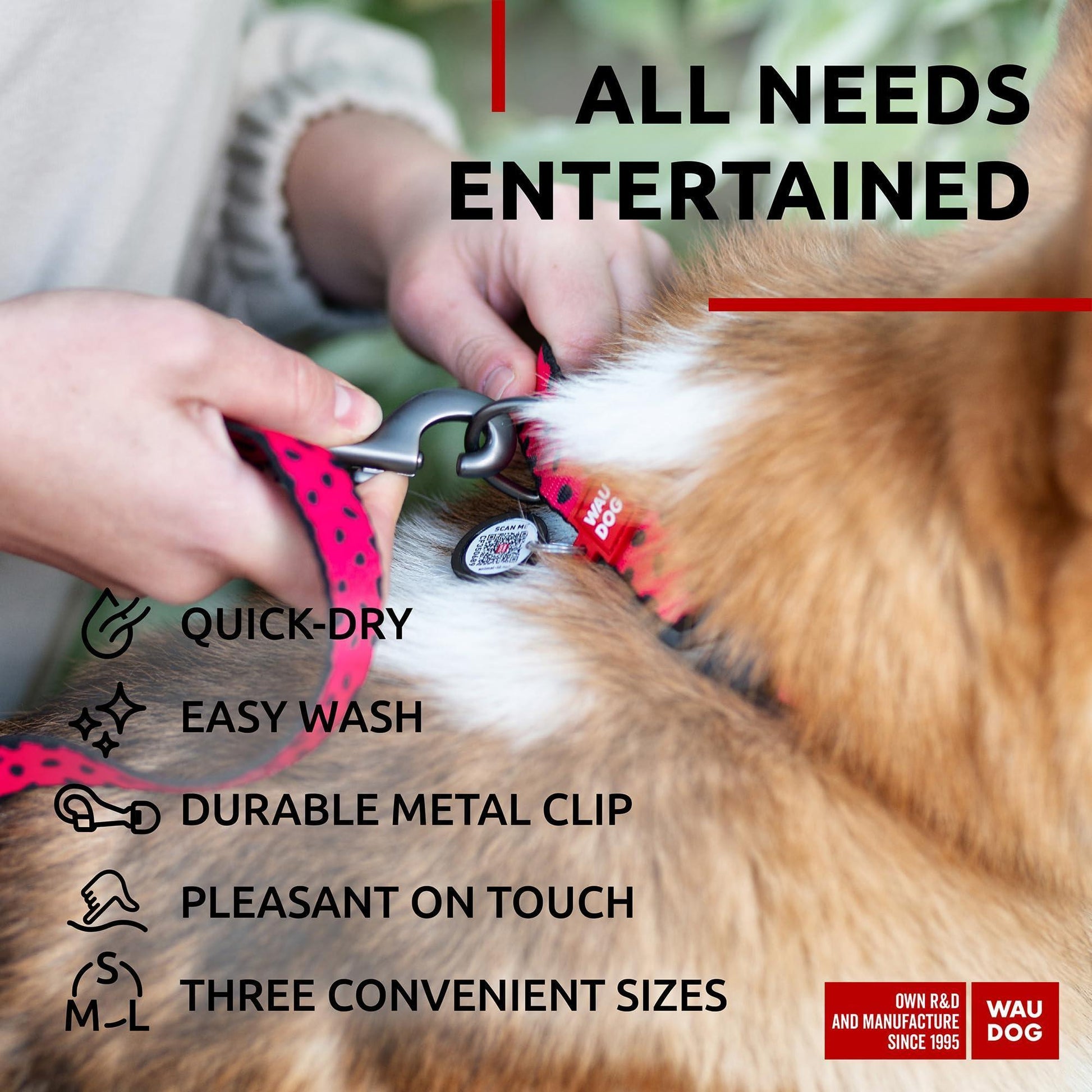 Nylon Dog Leash for Small Dogs and Medium Dogs 4 Ft   Strong Dog Leash for For Pet With Love