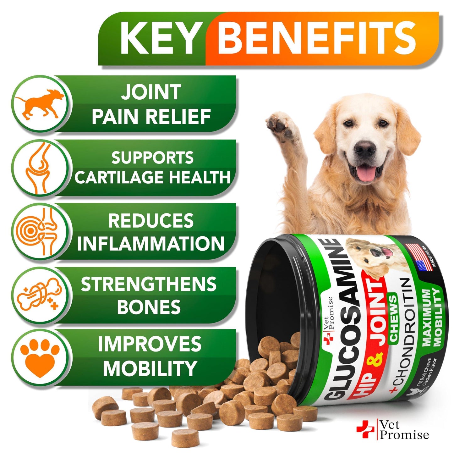 Vet Promise Hip and Joint Supplement with Glucosamine Chondroitin for Dogs 170 Ct For Pet With Love