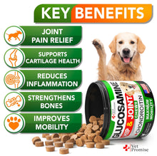 Load image into Gallery viewer, Vet Promise Hip and Joint Supplement with Glucosamine Chondroitin for Dogs 170 Ct
