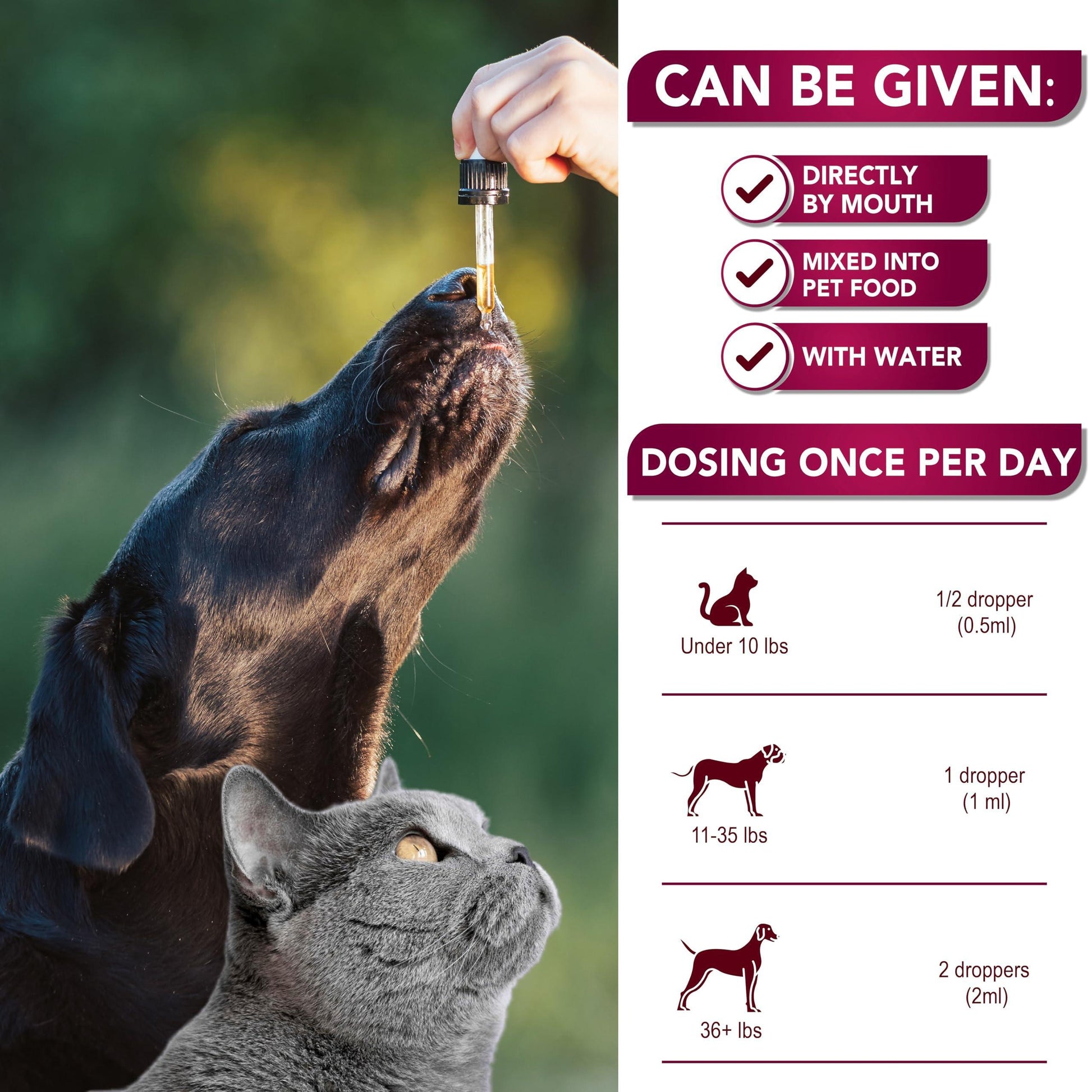Vet Promise Cranberry UTI Drops, Bladder & Kidney Support Supplement for Cats & Dogs 2 oz For Pet With Love