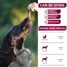 Load image into Gallery viewer, Vet Promise Cranberry UTI Drops, Bladder &amp; Kidney Support Supplement for Cats &amp; Dogs 2 oz
