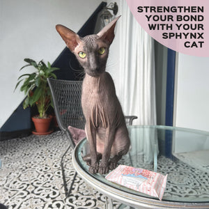 Kotomoda Wet Wipes with Panthenol for Sphynx cat for Everyday use (24Pack)