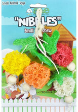 Load image into Gallery viewer, AE Cage Company Nibbles Fruit Bunch Loofah Chew Toy
