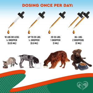 Natural Herbal Antibiotics for Cats and Dogs - Kennel Cough Relief & Urinary Tract Support