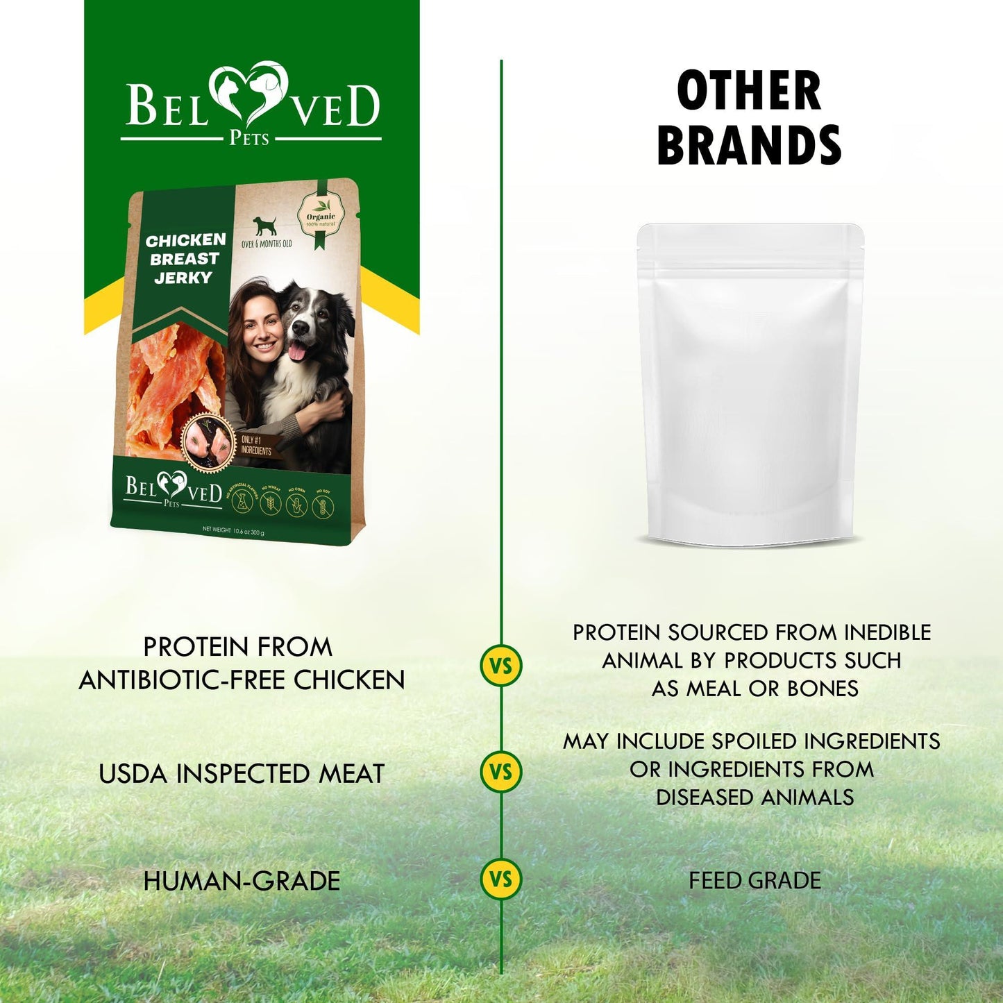 Beloved Pets All Natural and Organic Healthy Snacks Chicken Breast Jerky Dog Treats. Grain Free and High Protein. Human Grade Pet Chews (300 Gram) For Pet With Love