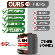 Load image into Gallery viewer, Vet Promise Mushroom Multivitamin Supplement for Dogs for Dogs. Turkey Tail Mushroom, Lions Mane, Reishi Immunity Support, Joint Health, Energy, Gut, Skin Health Support. (2 Pack. 340 Chews) For Pet With Love
