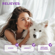 Load image into Gallery viewer, Beloved Pets Anxiety Calming Pheromone Diffuser Refill for Dogs 2 Pack
