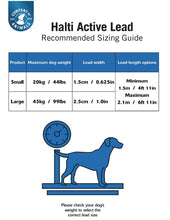 Load image into Gallery viewer, Company of Animals Halti All In One Lead for Dogs Blue
