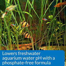 Load image into Gallery viewer, API pH Down Lowers Aquarium pH for Freshwater Aquariums
