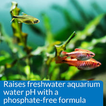 Load image into Gallery viewer, API pH Up Raises Aquarium pH for Freshwater Aquariums
