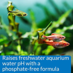 API pH Up Raises Aquarium pH for Freshwater Aquariums