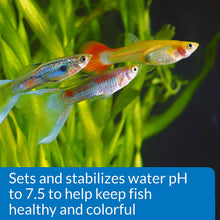 Load image into Gallery viewer, API Proper pH Sets and Stabilizes Freshwater Aquariums
