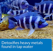 Load image into Gallery viewer, API Tap Water Conditioner Detoxifies Heavy Metals and Dechlorinates Aquarium Water
