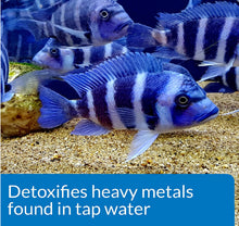 Load image into Gallery viewer, API Tap Water Conditioner Detoxifies Heavy Metals and Dechlorinates Aquarium Water
