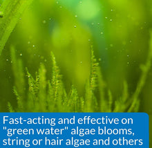 Load image into Gallery viewer, API AlgaeFix Controls Algae Growth for Freshwater Aquariums
