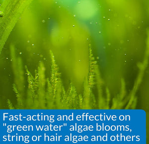 API AlgaeFix Controls Algae Growth for Freshwater Aquariums