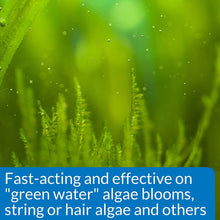 Load image into Gallery viewer, API AlgaeFix Controls Algae Growth for Freshwater Aquariums
