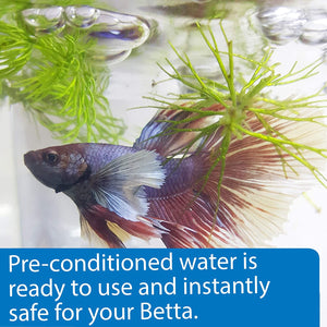 API Betta Water Add Fish Instantly