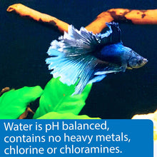 Load image into Gallery viewer, API Betta Water Add Fish Instantly
