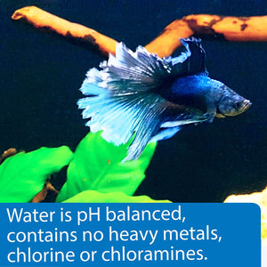 API Betta Water Add Fish Instantly