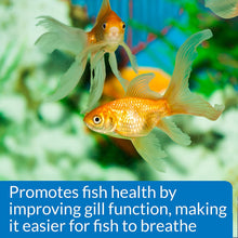 Load image into Gallery viewer, API Aquarium Salt Promotes Fish Health for Freshwater Aquariums
