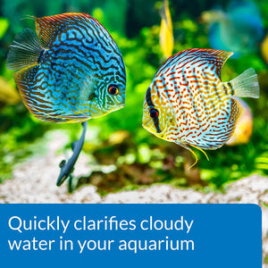 API Accu-Clear Clears Cloudy Aquarium Water