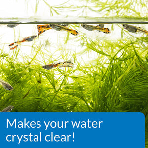 API Accu-Clear Clears Cloudy Aquarium Water