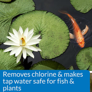 API Pond Chlorine and Heavy Metal Neutralizer Removes Chlorine