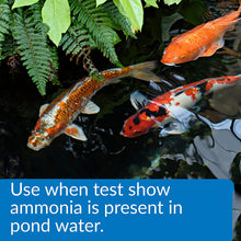 Load image into Gallery viewer, API Ammo Lock Ammonia Detoxifier for Ponds
