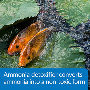 API Ammo Lock Ammonia Detoxifier for Ponds