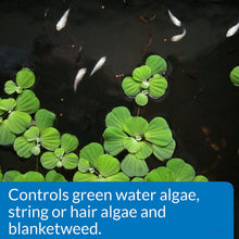 Load image into Gallery viewer, API Pond AlgaeFix Controls Algae Growth and Works Fast
