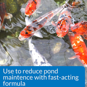 API Pond Simply-Clear with Barley Quickly Cleans and Clears Ponds