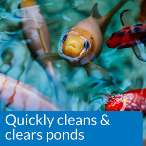 API Pond Simply-Clear with Barley Quickly Cleans and Clears Ponds