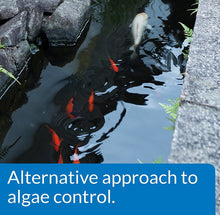 Load image into Gallery viewer, API PondCare Microbial Algae Clean Alternative Approach to Algae Control
