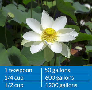 API PondCare Microbial Algae Clean Alternative Approach to Algae Control