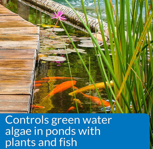 API PondCare Microbial Algae Clean Alternative Approach to Algae Control